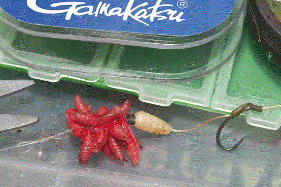 Montura maggot rig 2 - 5.gif